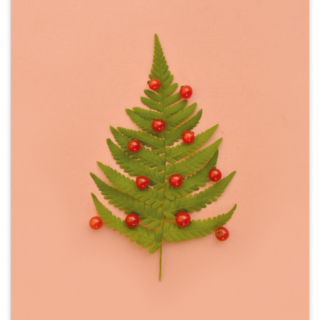 Christmas Fern Dark Folded Postcard